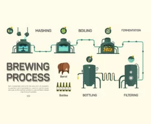 Beer brewing process infographic. Flat style, infographic